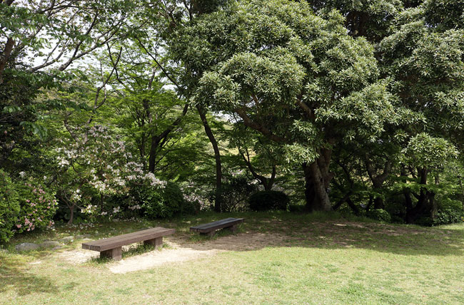 平板ベンチ3B号