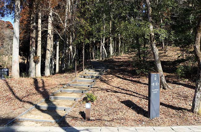 角形2連ステップ