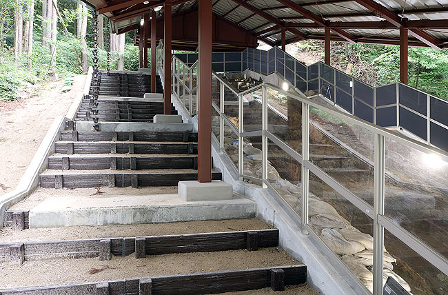 角形2連ステップ