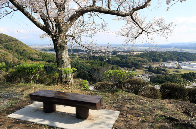 丸太ベンチ1号