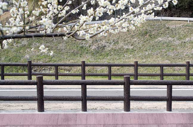 擬木 PCギ木 SA外柵 写真